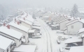 snow covered neighborhood