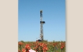 rig in field of flowers