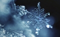 snowflake macro on blurry background