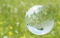 Green Globe