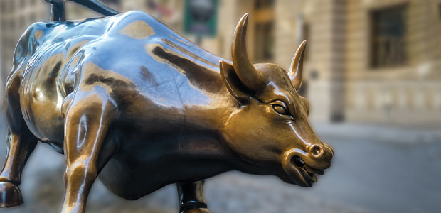 bronze bull