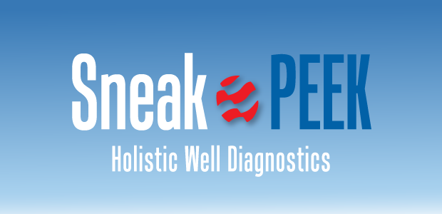 Sneak Peek: Holistic Well Diagnostics