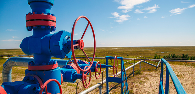 wellhead