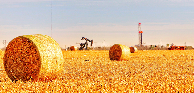 Haybills in foreground, pumpjack and rig in the background