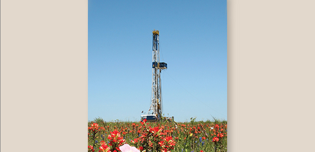 rig in field of flowers