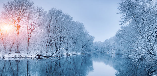 winter trees  and water