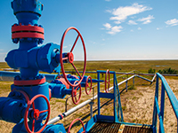 wellhead