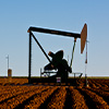 pumping unit in field