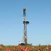 rig in field of flowers