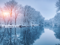 sunset with winter trees on water